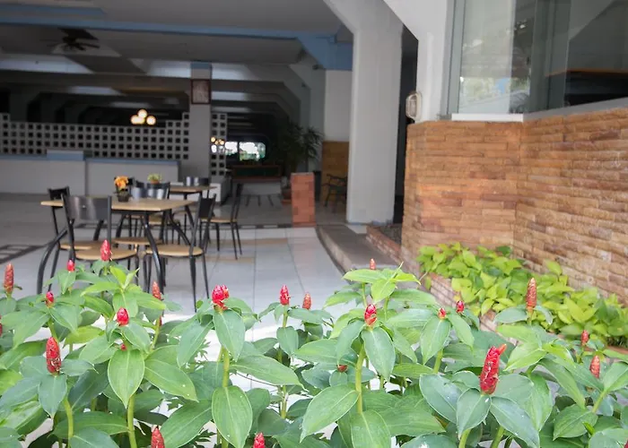 Anda Hotel 3*